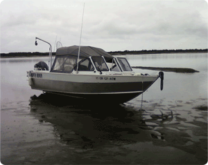 High and Dry