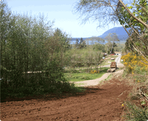 Clearing the Way